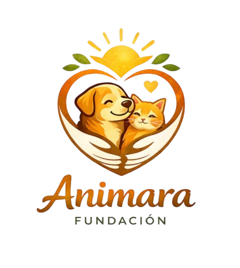 Animara Fundación logo